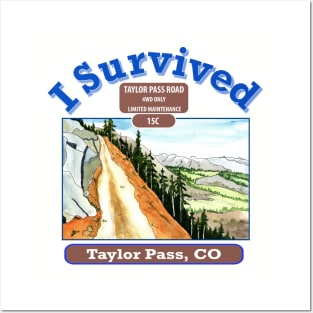 I Survived Taylor Pass, CO Posters and Art